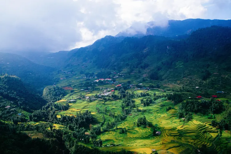 From the Highlands of Tây Bắc